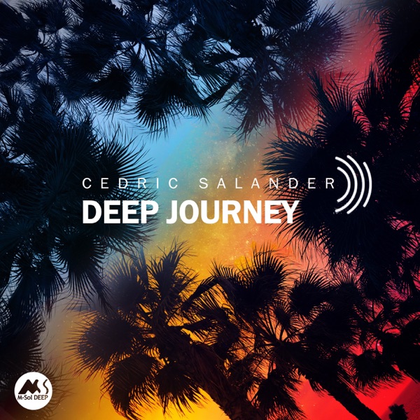 Deep Journey