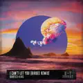 I Can't Let You (Birdee Remix)