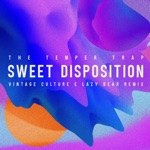 The Temper Trap - Sweet Disposition (Vintage Culture & Lazy Bear Remix)