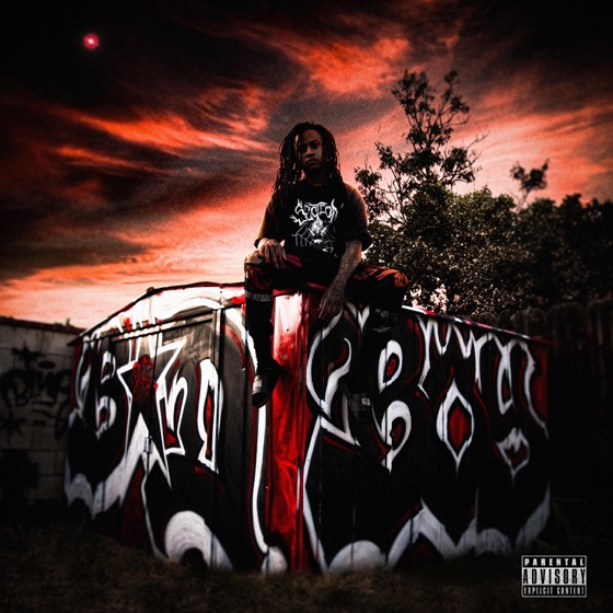 Cover artwork for What?