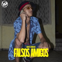 Falsos Amigos - Single - Quik Ironico