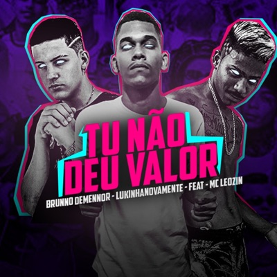 Tu Não Deu Valor (Remix) [feat. Mc Leozin] - Single