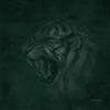 Kool Savas - AMG