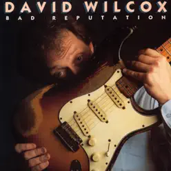 Bad Reputation - David Wilcox