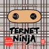 Ternet Ninja - Anders Matthesen