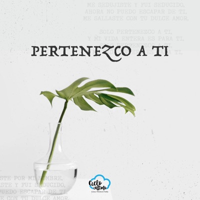 Pertenezco a Ti - Single