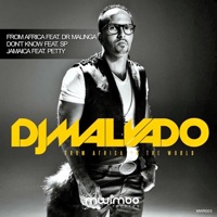 From Africa to the World - Single - DJ Malvado