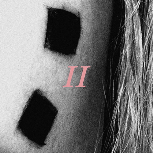 Hayley Williams – Why We Ever – Single [iTunes Plus AAC M4A]