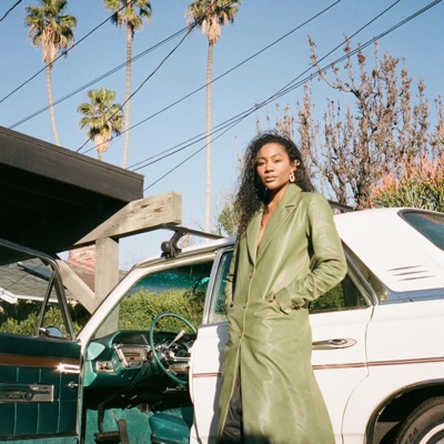 Please Don't Cloud the Vision - Single