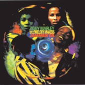 Ziggy Marley And The Melody Makers - What Conquers Defeat