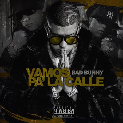 Vamos Pa' la Calle - Single - Hector El Father