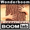 Wonderboom - WonderTune BOOMlab lyrics
