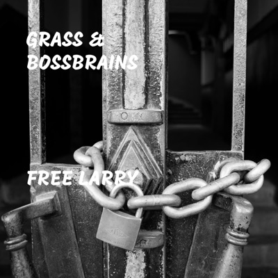 Free Larry - Single