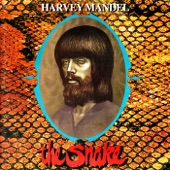 Harvey Mandel - The Divining Rod