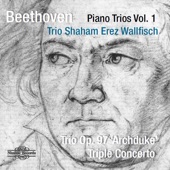 Beethoven: Piano Trios Vol. 1 artwork
