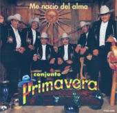 Conjunto Primavera - Es Muy Tu Vida