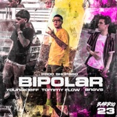 Bipolar artwork