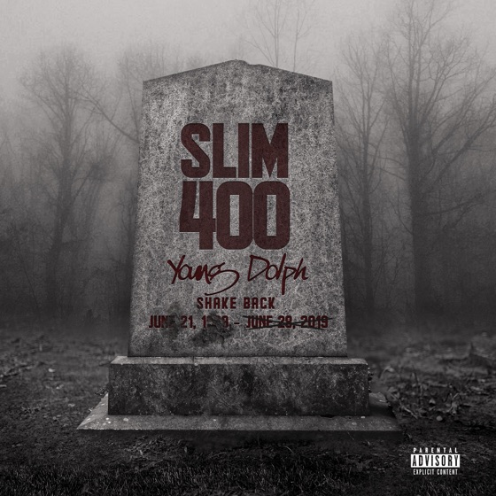 Cover artwork for Shake Back (feat. Young Dolph)