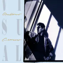 Visual - Guillermo Carrasco