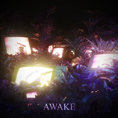 Awake - Single