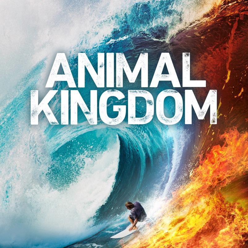Animal Kingdom, Season 4