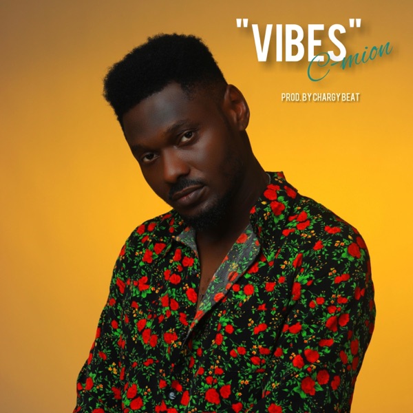 Vibes - Single