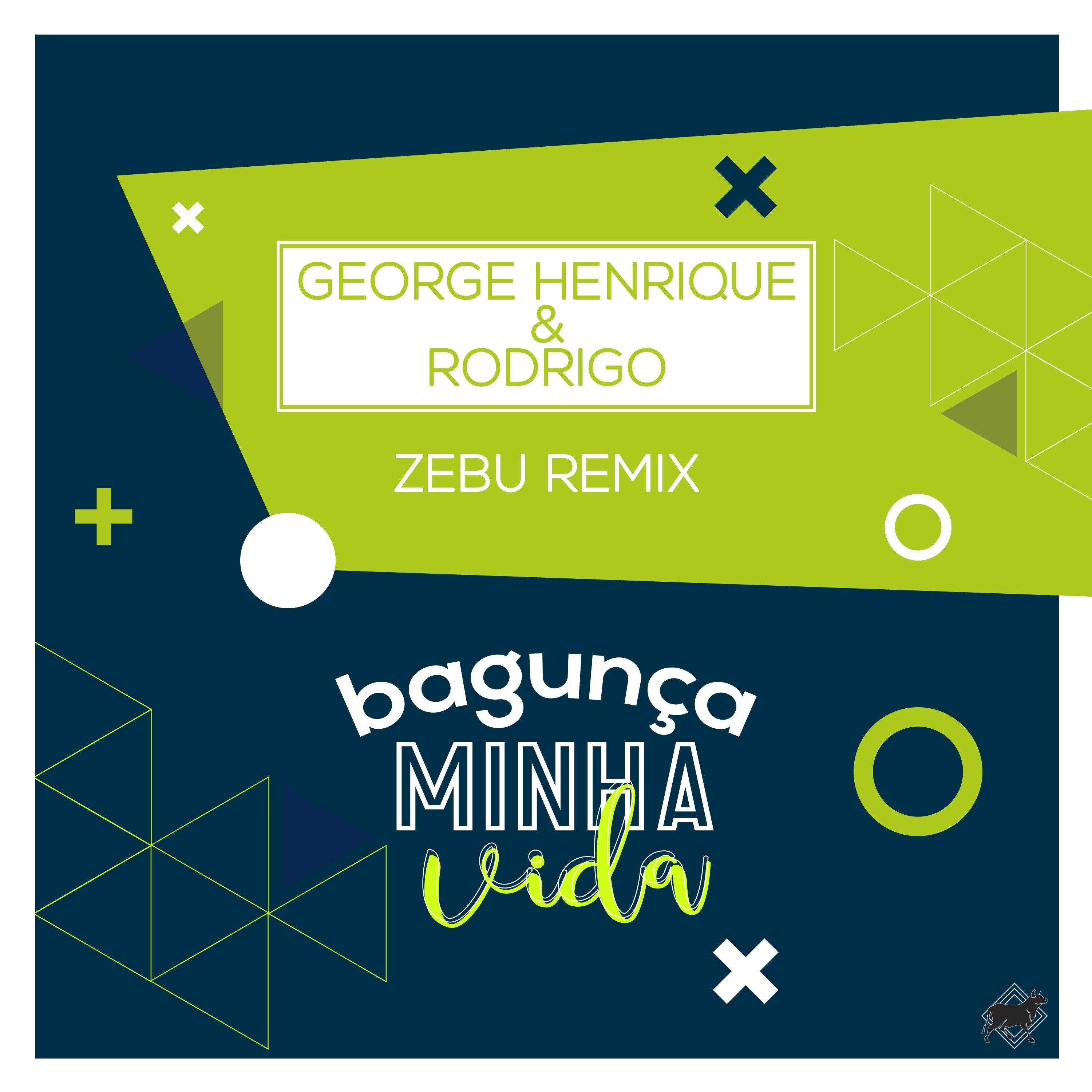 Bagunça Minha Vida (Remix) - Single