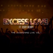 Excess Love (feat. Osby Berry) artwork