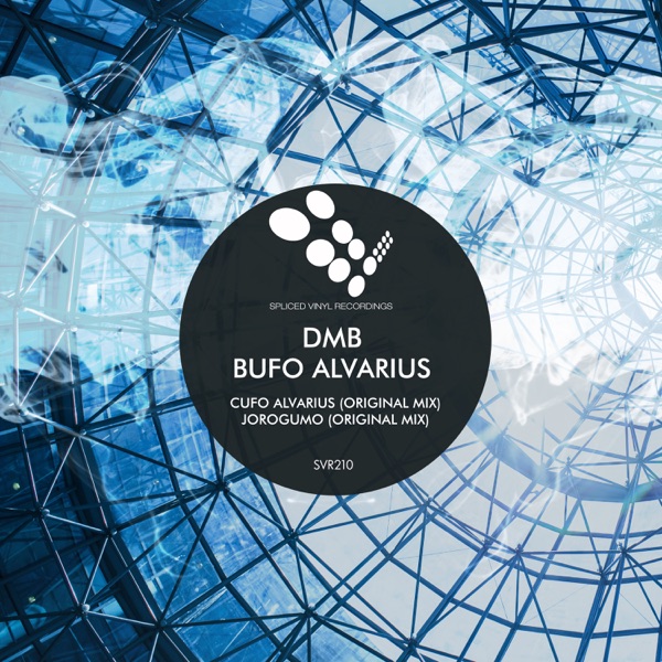 Bufo Alvarius - Single