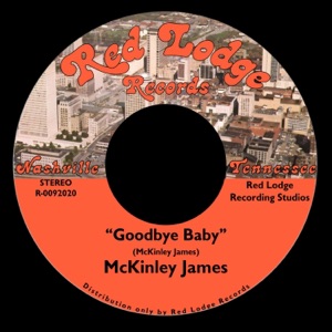 Goodbye Baby - Single