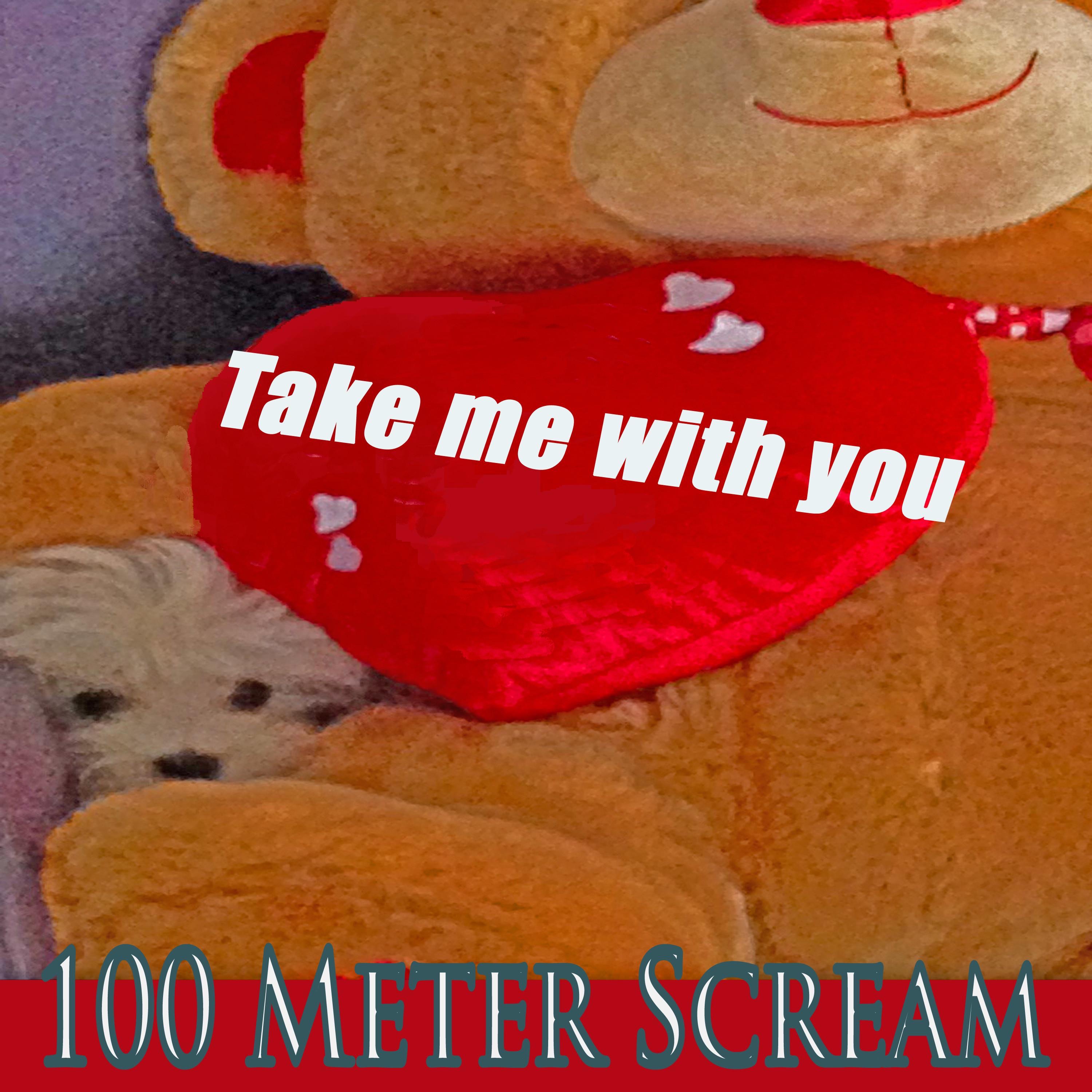 Take Me With You - Single