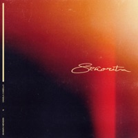 Shawn Mendes & Camila Cabello - Señorita