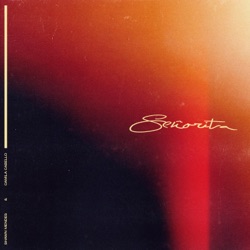 Album Senorita Single By Shawn Mendes Camila Cabello Free Mp3