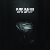 Diana DeMuth - Rose of Nantucket