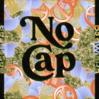 No Cap (feat. Bassbear!!) - Single - DJ Swisha
