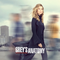 Grey's Anatomy, Season 16