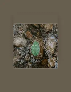 Listen to Zen Wave, watch music videos, read bio, see tour dates & more!