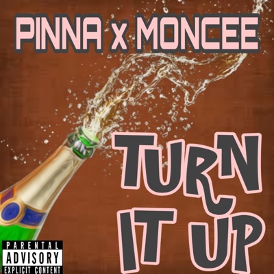 Turn It Up (feat. Moncee) - Single