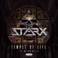 Temple of Life (feat. MC Sik-wit-it) - Single - STARX