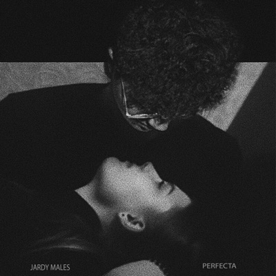 Perfecta - Single
