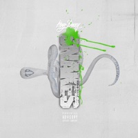 Snakes - Single - King Deezy