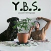 Y.B.S. - EP