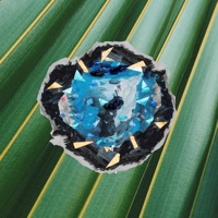 Adivinador (Single) - Onda Vaga