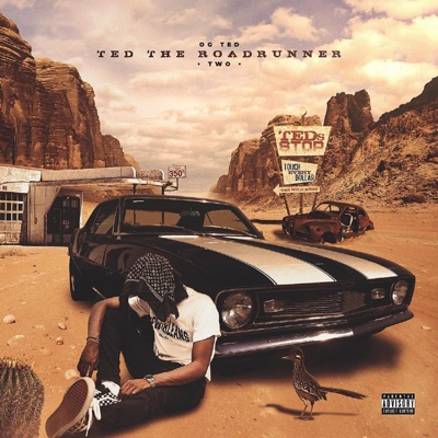 Ted the Road Runner 2