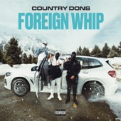 Foreign Whip artwork