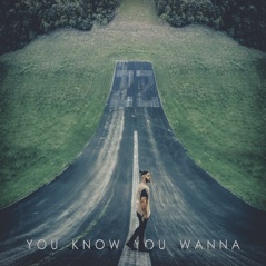 You Know You Wanna - Single