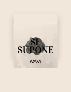 Posłuchaj wykonawcy Navi, obejrzyj teledyski, przeczytaj biografię, zobacz daty tras koncertowych i nie tylko!