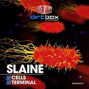 Cells / Terminal - Single