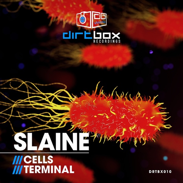 Cells / Terminal - Single