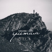 Улетим (Ночное Движение Remix) - Single - Kurazhnik & Serpo